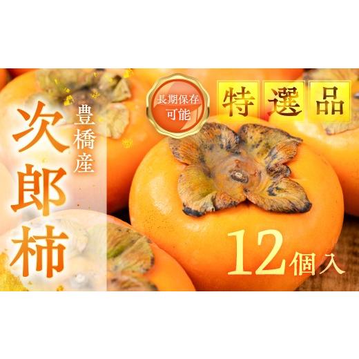 ふるさと納税 果物類 柿 愛知県 豊橋市 贈答用 次郎柿 12個入 (L~2L) 豊橋石巻柿工房