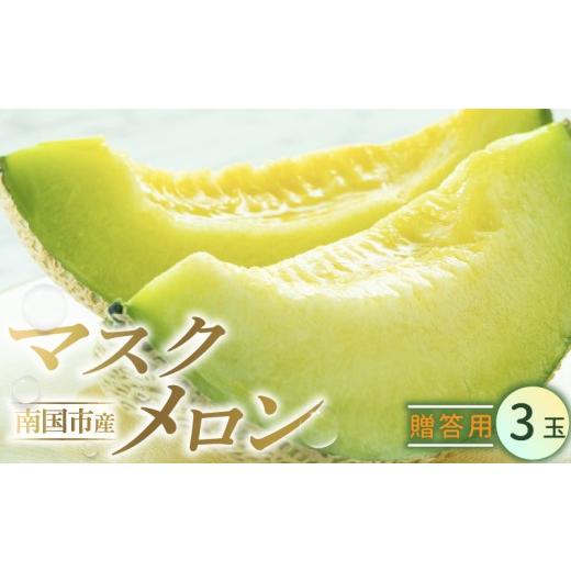 ふるさと納税 メロン メロン青肉 高知県 南国市 贈答用 南国市 メロン 3玉 | マスクメロン めろん 3個 フルーツ 果物 厳選 高級 人気 デザート ギフト プレゼ…
