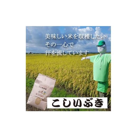 ふるさと納税 米 新潟県 燕市 令和8年産米予約受付中 こしいぶき 白米5kg