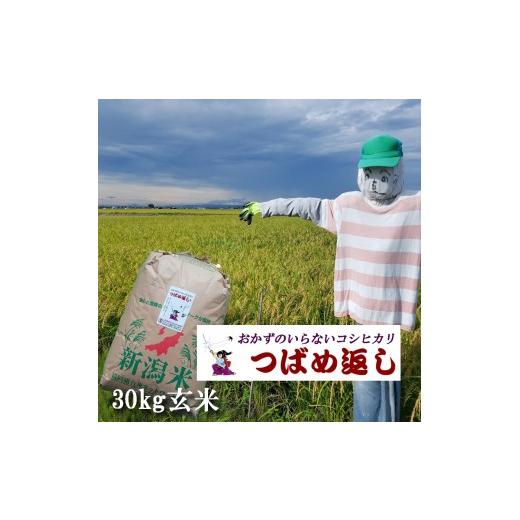 ふるさと納税 玄米 新潟県 燕市  令和8年産米予約受付中 おかずのいらないコシヒカリ「つばめ返し」玄米30kg 未検査米 FC066001の画像