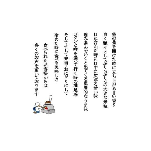 ふるさと納税 玄米 新潟県 燕市  令和8年産米予約受付中 おかずのいらないコシヒカリ「つばめ返し」玄米30kg 未検査米 FC066001の画像