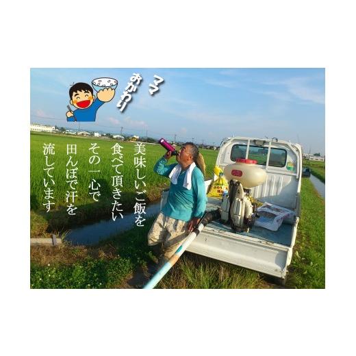 ふるさと納税 玄米 新潟県 燕市  令和8年産米予約受付中 おかずのいらないコシヒカリ「つばめ返し」玄米30kg 未検査米 FC066001の画像