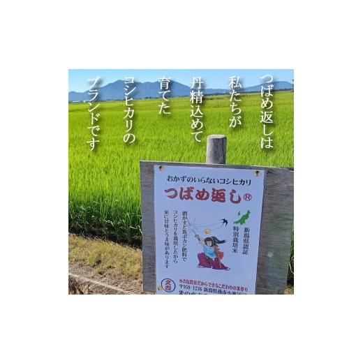 ふるさと納税 玄米 新潟県 燕市  令和8年産米予約受付中 おかずのいらないコシヒカリ「つばめ返し」玄米30kg 未検査米 FC066001の画像