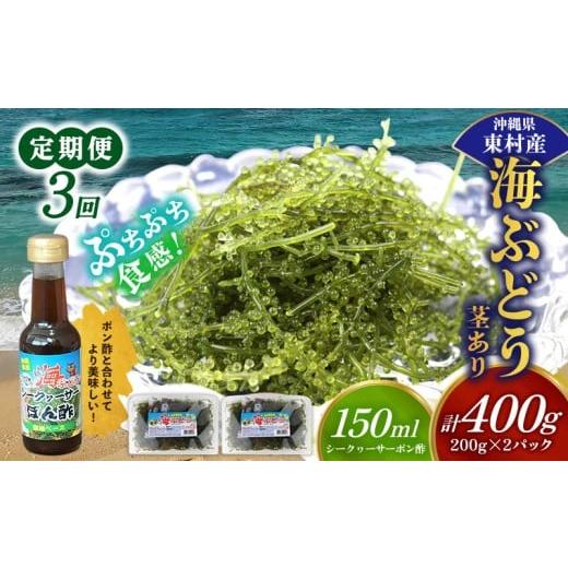 ふるさと納税 のり・海藻 沖縄県 東村 定期便:3回 美ら海 沖縄県産 海ぶどうセット/茎あり400g(200g×2パック)ポン酢付 海ブドウ 海ぶどう うみぶどう パ…