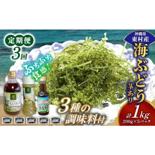 ふるさと納税 のり・海藻 沖縄県 東村 定期便:3回 美ら海 沖縄県産 海ぶどうセット/茎あり1kg(200g×5パック)&調味料3種セット 海ブドウ 海ぶどう うみ…