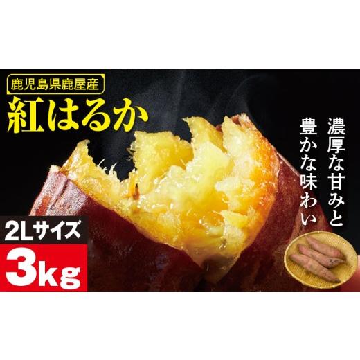 ふるさと納税 野菜類 サツマイモ 鹿児島県 鹿屋市 鹿児島県鹿屋産 紅はるか 生芋 2Lサイズ 3kg KN021-043-01