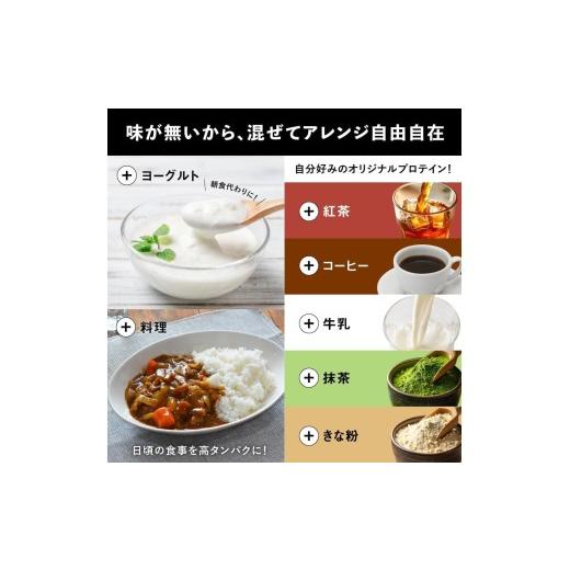 ふるさと納税 美容 山口県 下関市  WPIノンフレーバー EZOBOLIC プロテイン 1kg WPI100% 定期便 12回 WPIノンフレーバーの画像