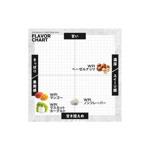 ふるさと納税 美容 山口県 下関市  WPIノンフレーバー EZOBOLIC プロテイン 1kg WPI100% 定期便 12回 WPIノンフレーバーの画像