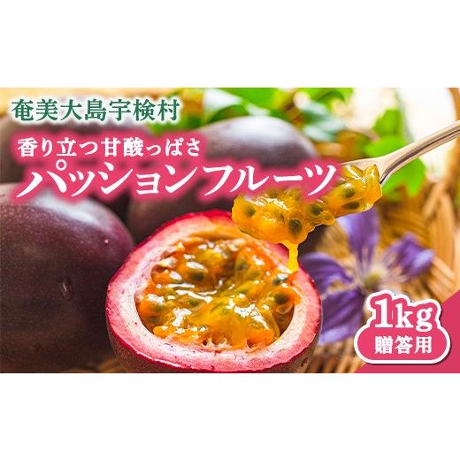 ふるさと納税 果物類 鹿児島県 宇検村 先行予約 パッションフルーツ 贈答用 (12個入×1箱) 7月〜9月頃出荷開始 リリコイ 果物 フルーツ デザート 人気 南国 …