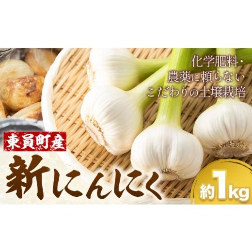 ふるさと納税 薬味・ハーブ 三重県 東員町 旬の香り みずみずしい新にんにく 約1kg 東員町産 [2026年6月上旬‐6月下旬頃に出荷予定(土日祝除く)]三重県 東員…
