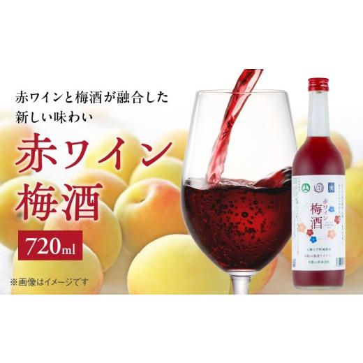 ふるさと納税 ワイン 白ワイン 和歌山県 湯浅町 EM6113_赤ワイン梅酒2025 720?