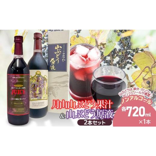 ふるさと納税 果汁飲料 ぶどう 山形県 鶴岡市 月山山ぶどう果汁・原液セット 各720ml×1本 山形県鶴岡市 庄内観光物産館事業部 | ぶどう 果汁 ブドウジュー…
