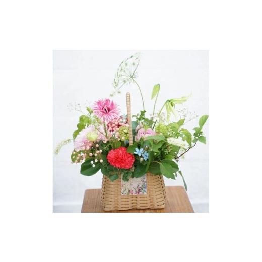 ふるさと納税 雑貨・日用品 花 高知県 高知市 3回定期便 季節の生花バスケットフラワーM / お花 フラワー アレンジメント バスケットフラワー そのまま飾れ…