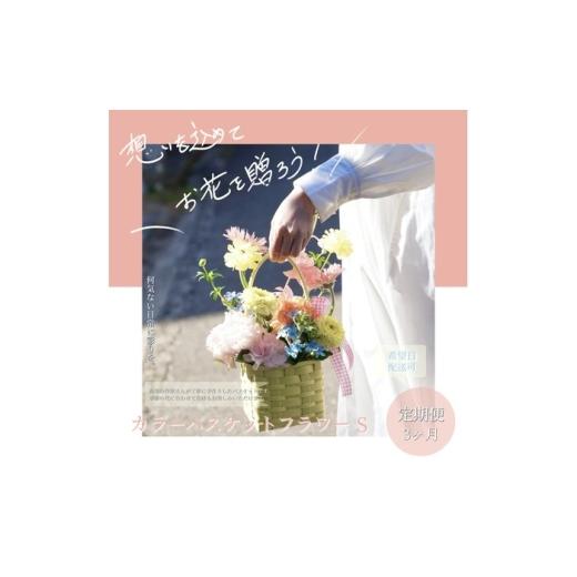 ふるさと納税 雑貨・日用品 花 高知県 高知市 3回定期便 季節の生花カラーバスケットフラワーS / お花 フラワー ミニサイズ アレンジメント カラーバスケッ…
