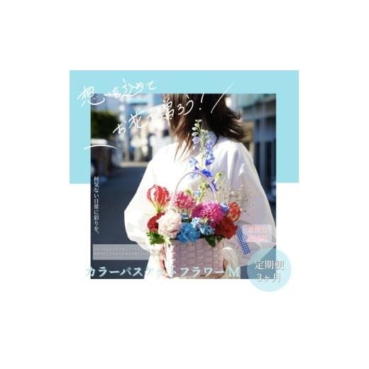 ふるさと納税 雑貨・日用品 花 高知県 高知市 3回定期便 季節の生花カラーバスケットフラワーM / お花 フラワー カラーバスケット アレンジ 映える リビング…