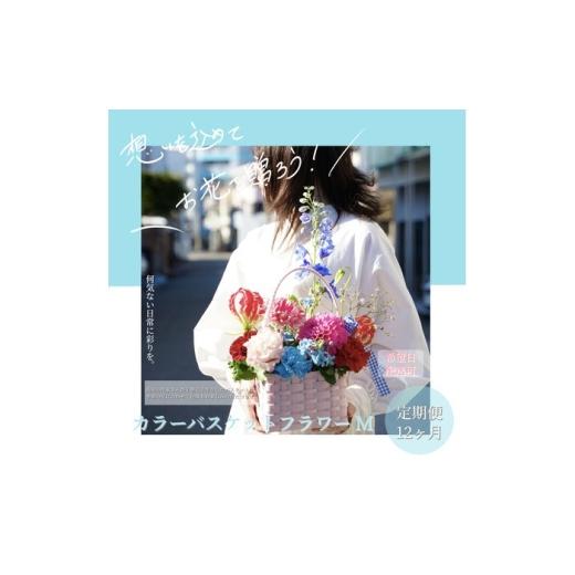 ふるさと納税 雑貨・日用品 花 高知県 高知市 12回定期便 季節の生花カラーバスケットフラワーM / お花 フラワー カラーバスケット アレンジ 映える リビン…