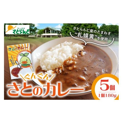 ふるさと納税 加工品等 レトルト 北海道 札幌市 さとのぐんぐんカレー | レトルト レンチン 北海道 札幌市