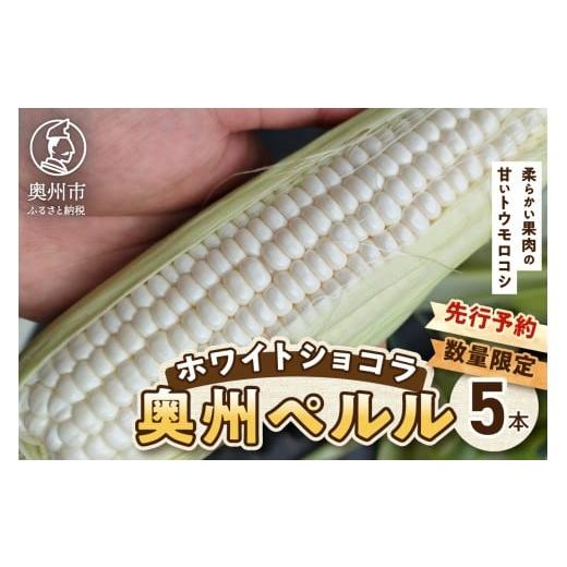 ふるさと納税 とうもろこし 岩手県 奥州市 先行予約 白いとうもろこし 奥州ペルル ( ホワイトショコラ ) 5本 数量限定 2026年7月中旬から出荷 離島配送不可 1…