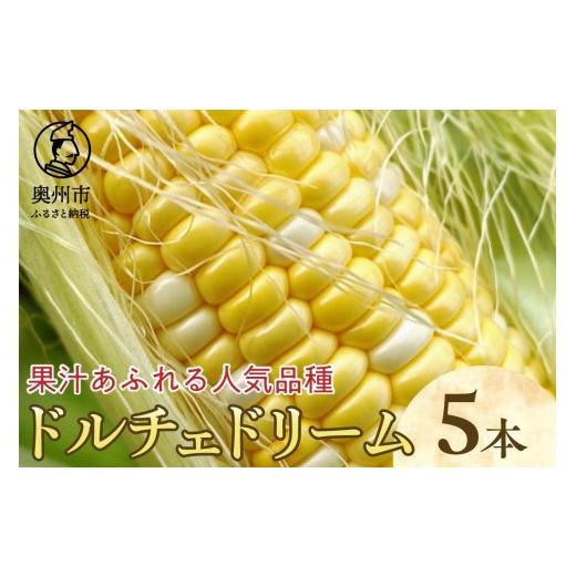 ふるさと納税 とうもろこし 岩手県 奥州市 先行予約 とうもろこし ドルチェドリーム 5本 数量限定 2026年7月中旬から出荷 離島配送不可 野菜 人気品種 フルー…