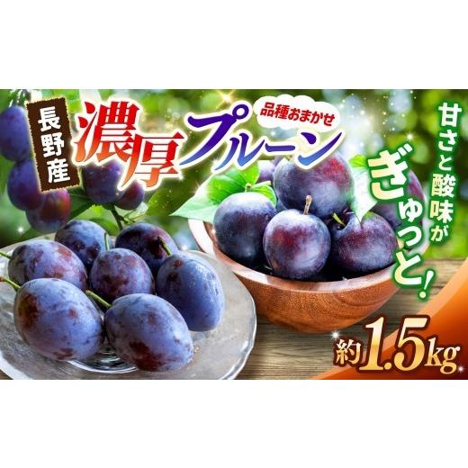 ふるさと納税 果物類 長野県 松本市 信州松本平産プルーン 約1.5kg 品種おまかせ |ふるさと納税 信州 松本 プルーン 生プルーン 旬 果物 フルーツ 甘い 新鮮 …