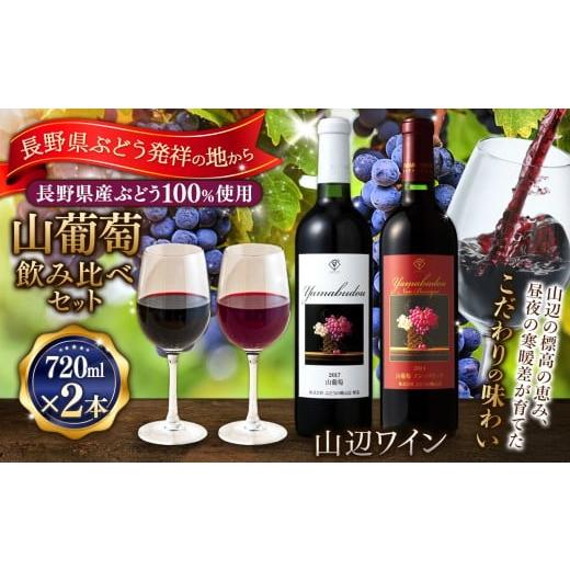 ふるさと納税 ワイン セット 長野県 松本市 山葡萄飲み比べセット 山辺ワインセット720ml×2本(山葡萄×山葡萄ノン・バリック)|ワイン 飲み比べ お酒 辛口 …