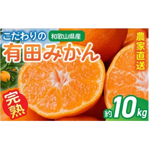 ふるさと納税 果物類 みかん 和歌山県 かつらぎ町 訳あり・ご家庭用 農家直送 こだわりの 完熟 有田みかん 約10kg+150g(傷み補償分) 2026年10月中に順次発送…