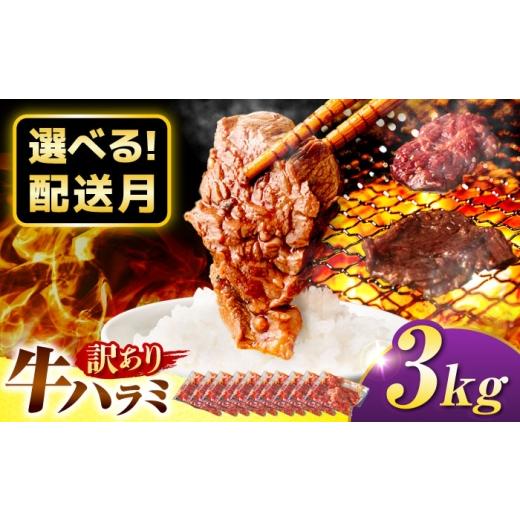 ふるさと納税 牛肉 焼肉・バーベキュー 岐阜県 御嵩町 6月発送 訳あり×大容量 味付けハラミ 3kg(250g×12パック) / ハラミ 牛肉 焼肉 / 御嵩町 / 馬力家…
