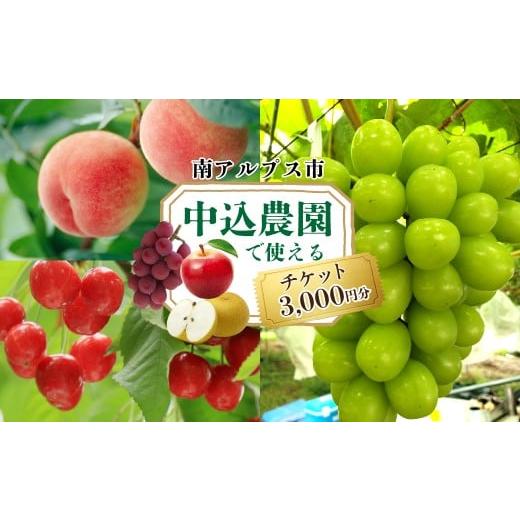 ふるさと納税 体験チケット 山梨県 南アルプス市 中込農園 クーポン券 3,000円 AL