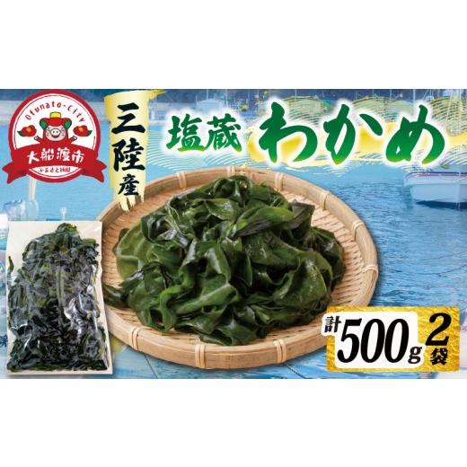 ふるさと納税 のり・海藻 わかめ 岩手県 大船渡市 三陸産 塩蔵わかめ 500g (250g×2パック) わかめ 小分け 若芽 湯通し 海藻 海産物 味噌汁 ごはん 夕飯 おか…
