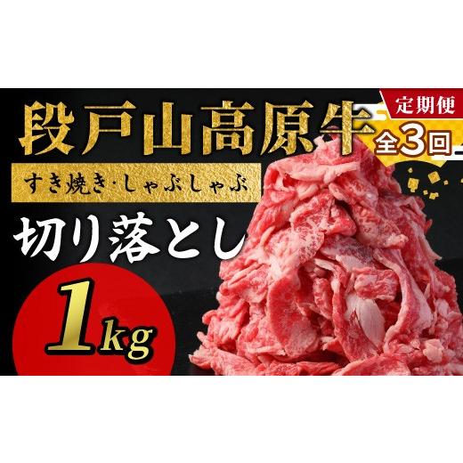 ふるさと納税 牛肉 愛知県 設楽町 3回 定期便 段戸山高原牛 切り落とし 1kg (200g×5)牛肉 肉 国産牛 焼肉 すき焼き しゃぶしゃぶ 不揃い 冷凍 愛知県 設楽…