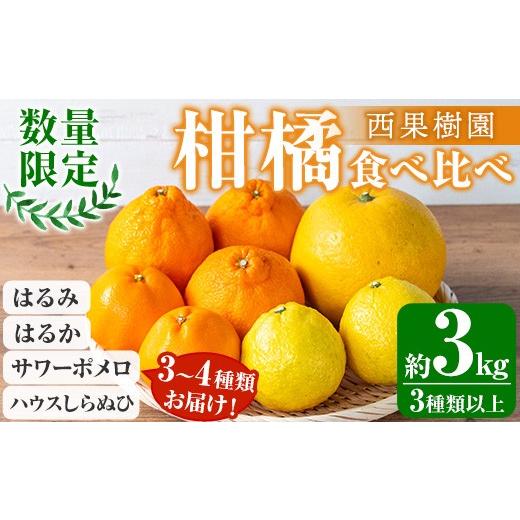 ふるさと納税 みかん・柑橘類 鹿児島県 いちき串木野市 新登場＼柑橘の宝石箱/西果樹園の柑橘食べ比べセット (約3kg サイズ:M〜3L・3種類以上) (はるみ・し…