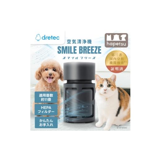 ふるさと納税 空調・季節家電 埼玉県 川口市 ドリテック 空気清浄機「スマイルブリーズ」 AC-100DG 1716811