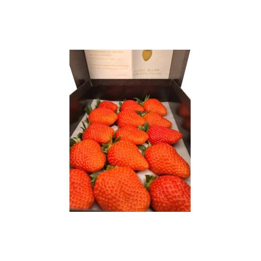 ふるさと納税 いちご 群馬県 藤岡市 群馬県産 やよいひめ 厳選15粒 黒化粧箱入り プレミアムギフト 1716058