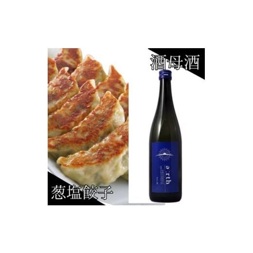 ふるさと納税 日本酒 静岡県 磐田市 葱塩餃子 × 酒母酒 earth 晩酌セット 複数個口で配送 4014719