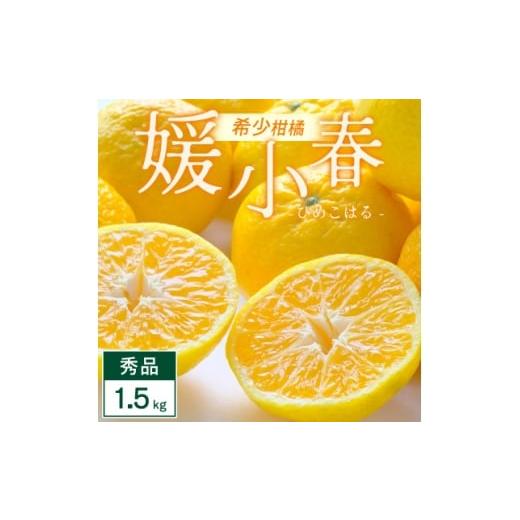 ふるさと納税 みかん・柑橘類 愛媛県 八幡浜市 媛小春 1.5kg 愛媛県 八幡浜市 西宇和地区 希少な幻の柑橘 黄色いみかん C25-357 1715605