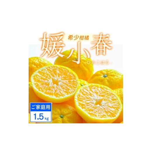 ふるさと納税 みかん・柑橘類 愛媛県 八幡浜市 ご家庭用 媛小春 1.5kg みかん 愛媛県八幡浜市 西宇和地区 希少な幻の柑橘 C25-358 _ ご家庭用 媛小春 1.5kg …