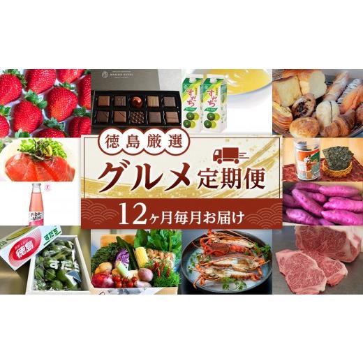 ふるさと納税 加工品等 徳島県 徳島市 徳島 厳選 グルメ定期便 12ヶ月毎月お届け