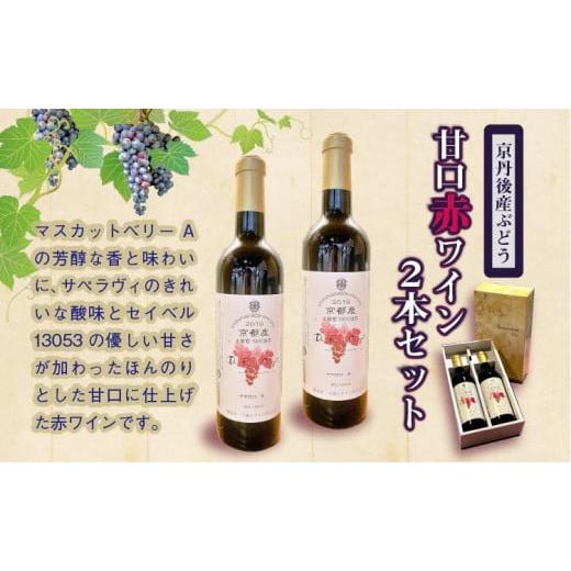 ふるさと納税 ワイン 赤ワイン 京都府 京丹後市 甘口ワイン2本セット 天橋立ワイン 日本ワインコンクール受賞のワイナリーからお届け/京丹後産ぶどうを醸造し…