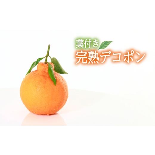 ふるさと納税 みかん・柑橘類 デコポン 愛媛県 松山市 2026年3月中旬頃から順次発送 [JAえひめ中央]葉つき完熟デコポン 約5Kg L20玉 | デコポン 不知火 み…