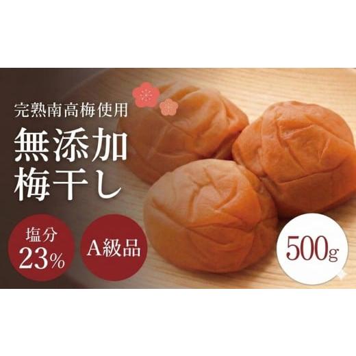 ふるさと納税 加工品等 梅干 和歌山県 田辺市 無添加梅干し A級品 紀州南高梅 紀州完熟白干し梅 500g 塩分23% / 南高梅 和歌山県産 天日塩 調味料不使用 添…