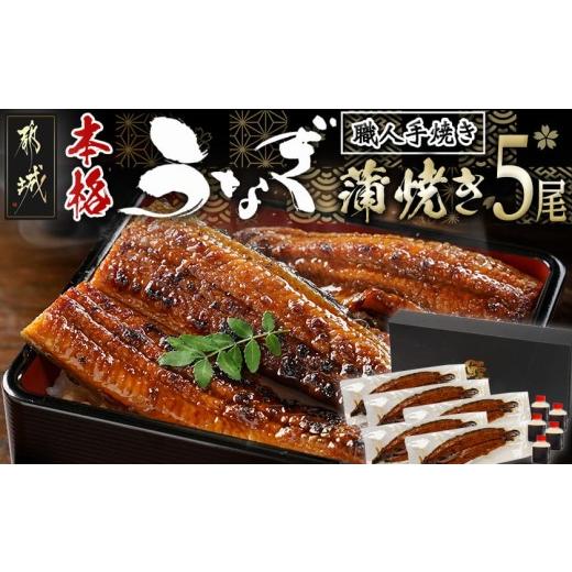 ふるさと納税 うなぎ 宮崎県 都城市 職人手焼きの本格うなぎ蒲焼き5尾_32-33-003-5_(都城市) 鰻蒲焼 5尾 (総重量750g以上) タレ付き (30ml×5個) 国産うなぎの…