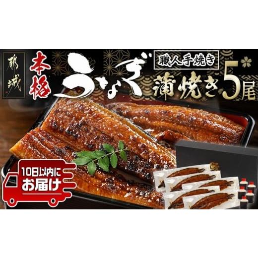 ふるさと納税 うなぎ 宮崎県 都城市 職人手焼きの本格うなぎ蒲焼き5尾 みやこんじょ特急便 _32-33-003-5-Q_(都城市) 10日以内お届け スピード配送 鰻蒲焼 5尾 …
