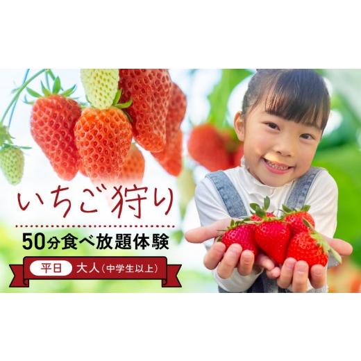 ふるさと納税 体験チケット 岡山県 岡山市 いちご狩り 50分食べ放題体験 平日/大人(中学生以上) いちご 苺 苺狩り フルーツ 果物 体験券 岡山市 岡山県 …