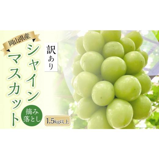 ふるさと納税 ぶどう マスカット 岡山県 岡山市 2026年 家庭用 岡山県産 シャインマスカット 1.5kg以上 摘み落とし 9月以降発送