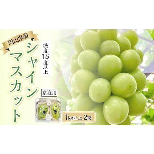 ふるさと納税 ぶどう マスカット 岡山県 岡山市 家庭用 2026年 糖度18度以上 岡山県産 シャインマスカット 500g以上 2房 1kg以上 9月以降発送