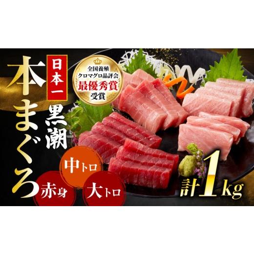 ふるさと納税 寿司 高知県 宿毛市 本マグロ3種セット (大トロ・中トロ・赤身) 約1kg (高知道水) 3種セット(大トロ・中トロ・赤身) 約1kg (40,000円)