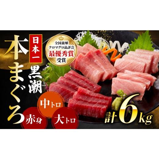 ふるさと納税 マグロ 高知県 宿毛市 本マグロ3種セット (大トロ・中トロ・赤身) 約6kg (高知道水) 3種セット（大トロ・中トロ・赤身）約6kg (220,000円)_1