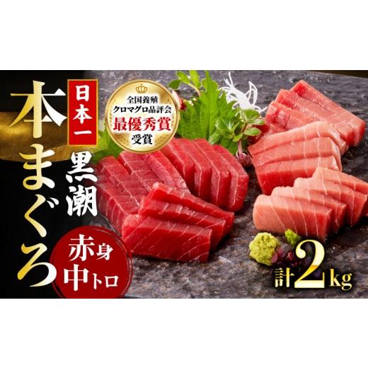 ふるさと納税 寿司 高知県 宿毛市 本マグロ2種セット ( 中トロ・赤身) 約2kg (高知道水) 2種セット(中トロ・赤身) 約2kg (76,000円)の画像