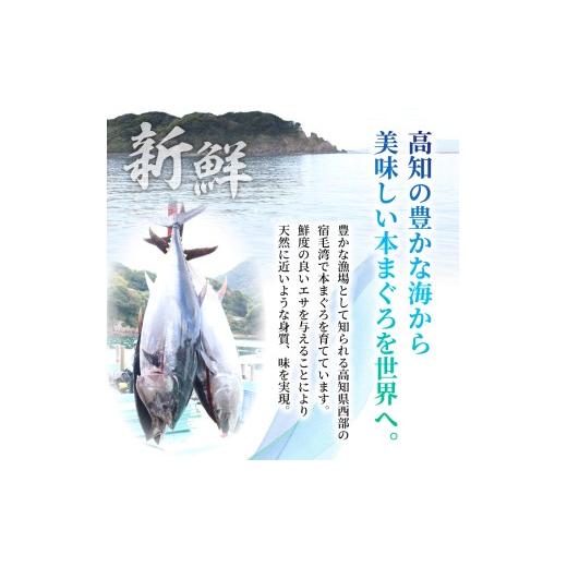 ふるさと納税 寿司 高知県 宿毛市 本マグロ2種セット ( 中トロ・赤身) 約2kg (高知道水) 2種セット(中トロ・赤身) 約2kg (76,000円)の画像