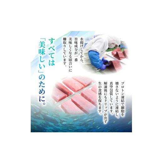 ふるさと納税 寿司 高知県 宿毛市 本マグロ2種セット ( 中トロ・赤身) 約2kg (高知道水) 2種セット(中トロ・赤身) 約2kg (76,000円)の画像